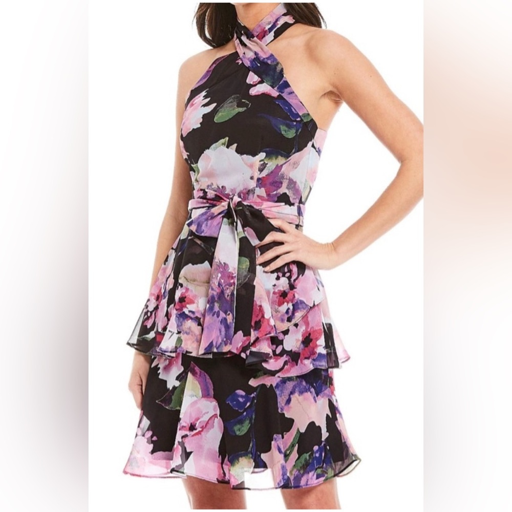 NWT Women’s Alex Marie Everly Cross Neck Floral Chiffon Dress 6 Black Pink